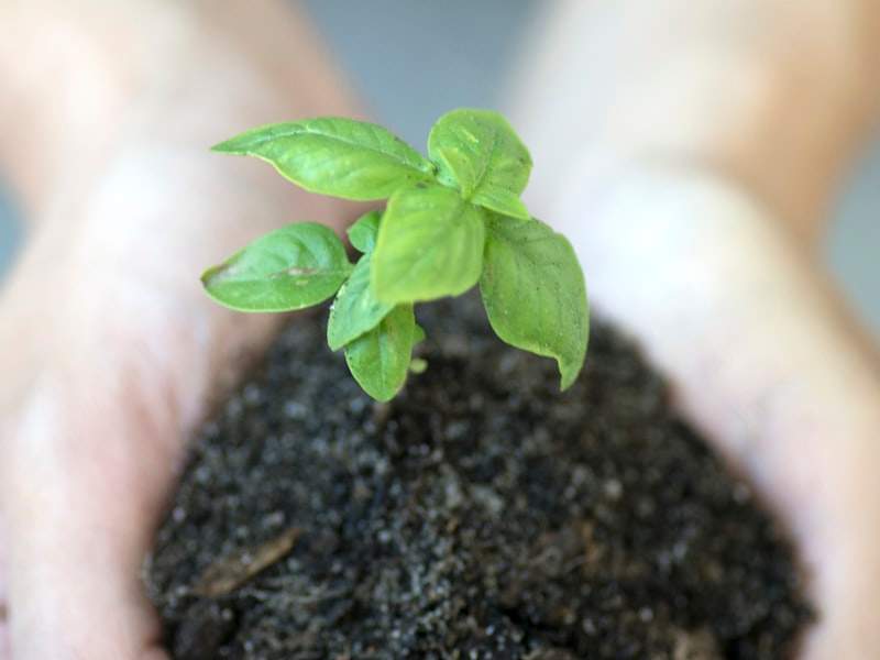 Understanding Hoarding Cleanup in Anaheim